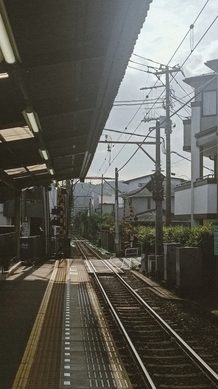 Original analog photograph — Crossing