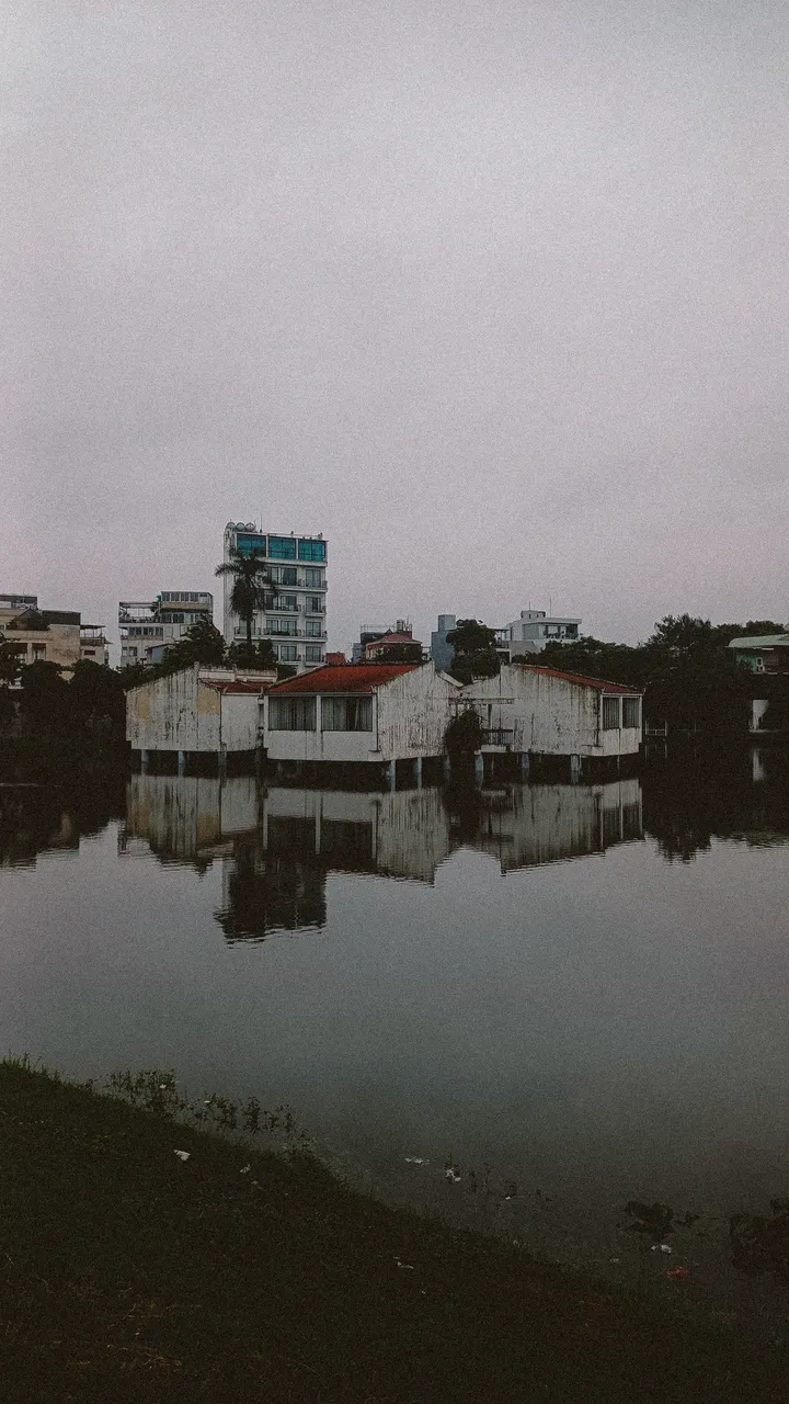 Original analog photograph — Signal